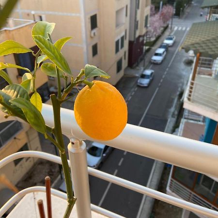 Nora Apartments Durrës Kültér fotó
